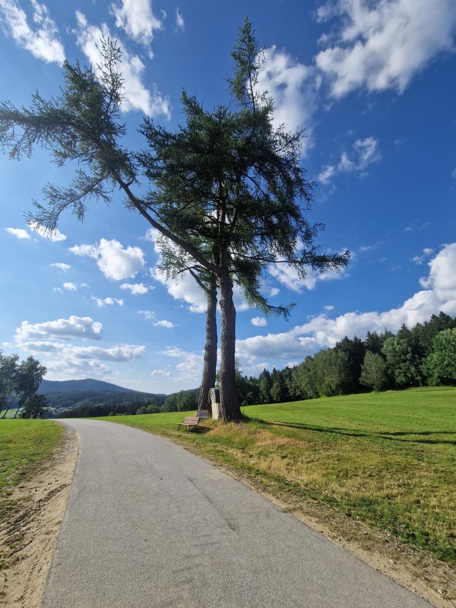 Ferienhaus Am Bach Achslach ภายนอก รูปภาพ
