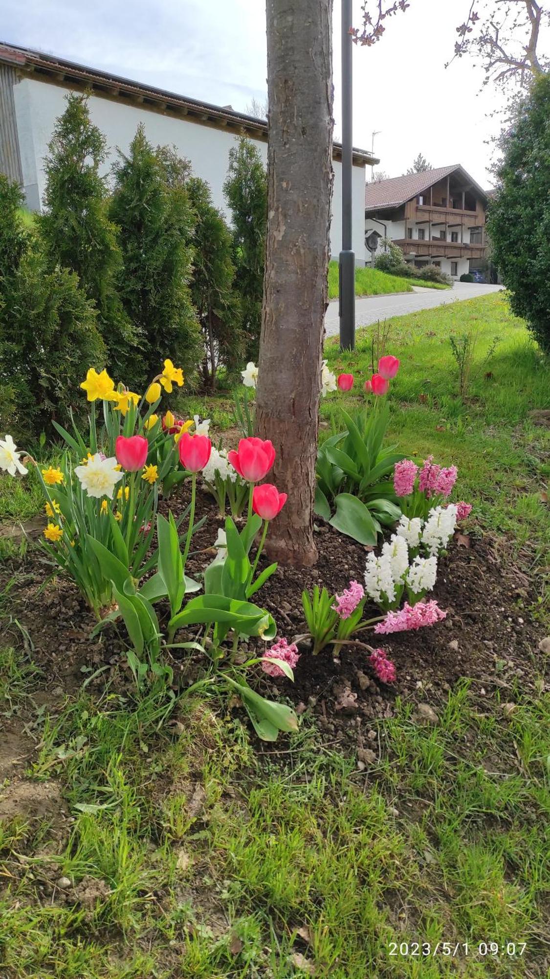 Ferienhaus Am Bach Achslach ภายนอก รูปภาพ